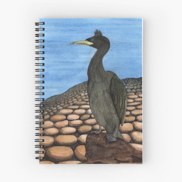 Item preview, 214 - SHAG (PHALACROCORAX ARISTOTELIS) - DAVE EDWARDS - INK & WATERCOLOUR - 2008 designed and sold by BLYTHART.