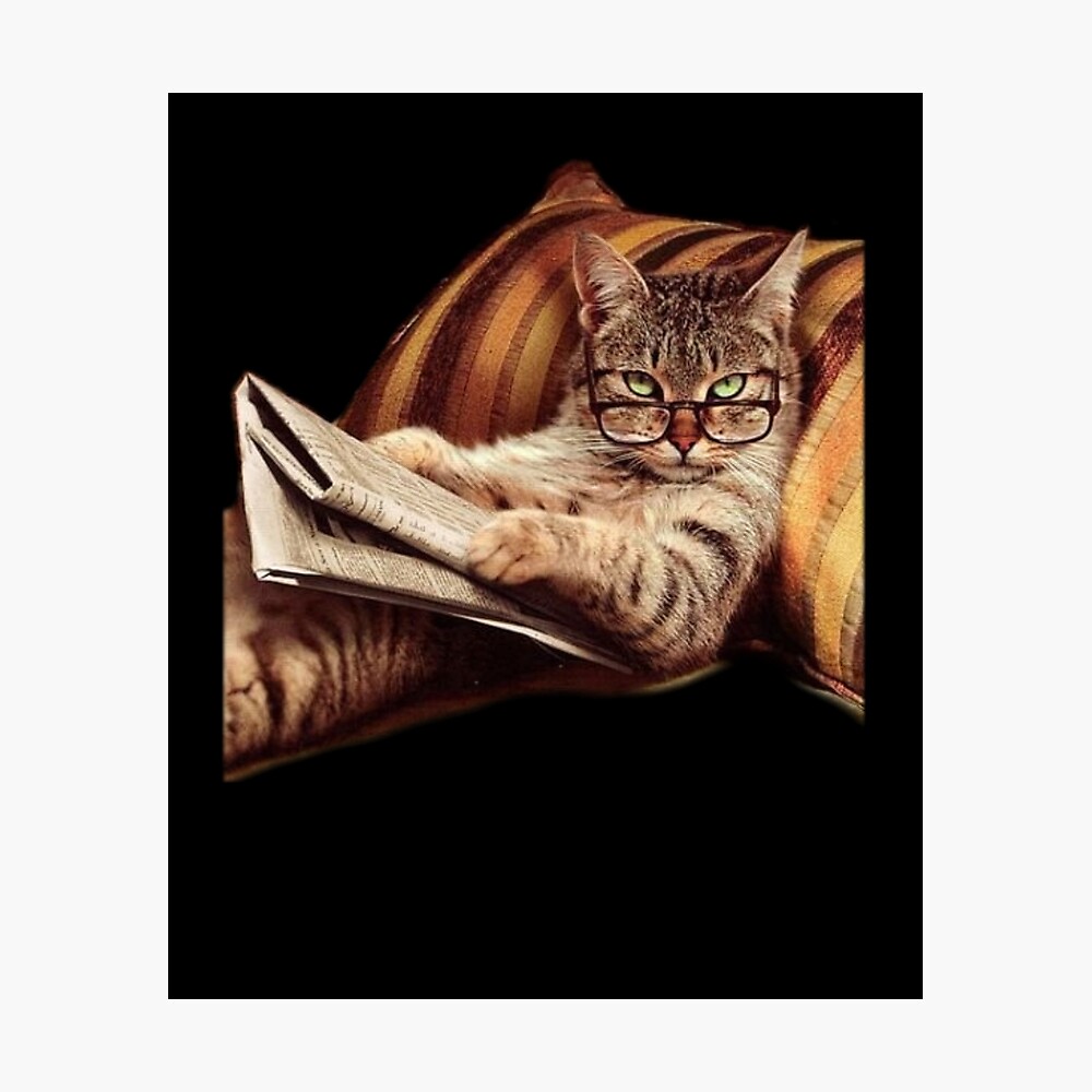 Funny Reading Cat Meme - Internet Humor Book Funny Reading Cat Meme - Internet Humor Book