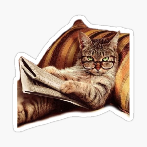 Barnes and Noble Blank sticker Book: Humorous Cat Blank Sticker