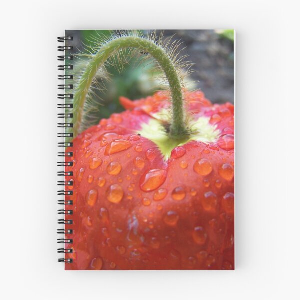 Item preview, Rain, Rain Go Away! designed and sold by Leah Highland.
