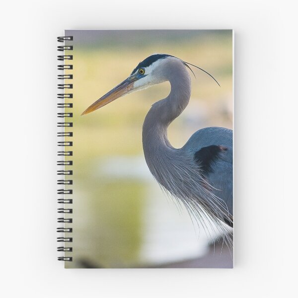 Item preview, Ardea Herodias designed and sold by Marvin Collins.