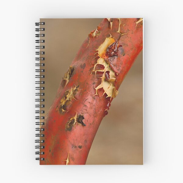 Item preview, Red Skin designed and sold by Peter Hodgson.