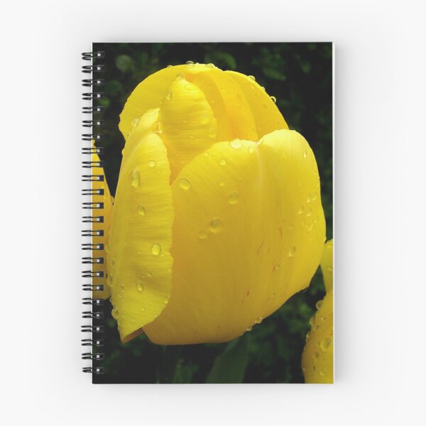 Item preview, Tulip after Rain designed and sold by BarryNorton1.