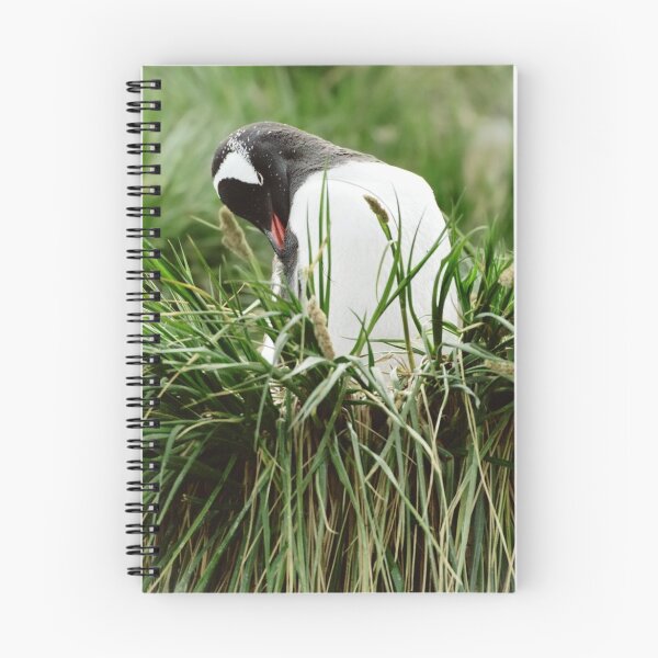 Item preview, Gentoo In The Grass designed and sold by Steve Bulford.