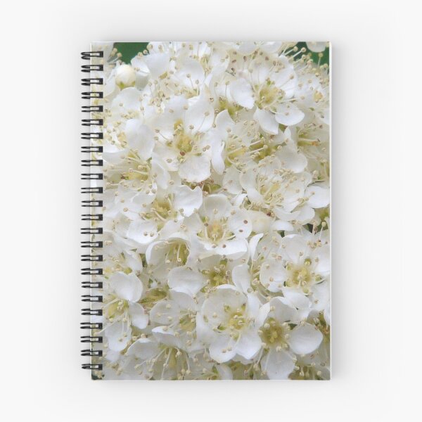 Item preview, Flowering Rowan designed and sold by Pebbles on the Beach.