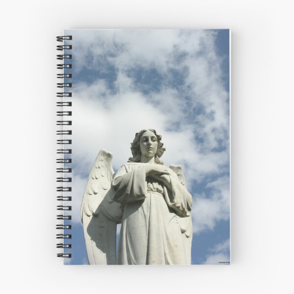 Item preview, ANGEL designed and sold by KevinKelly.