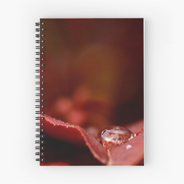 Item preview, Reflection in Red designed and sold by Richard G Witham.