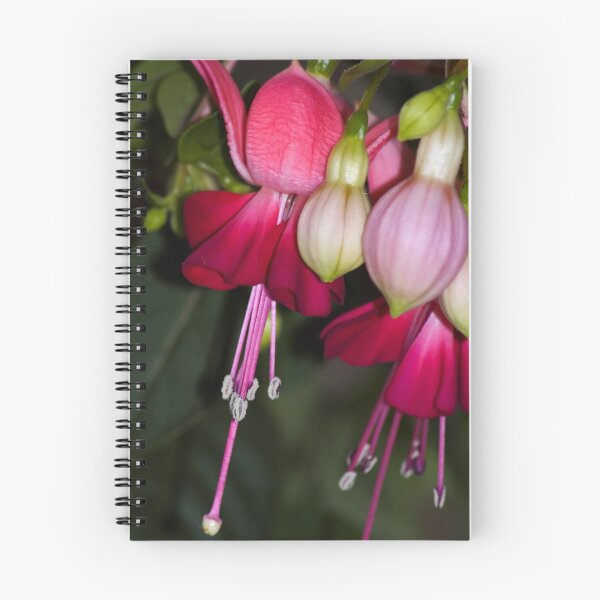 Item preview, Fuschia designed and sold by Steve plowman.