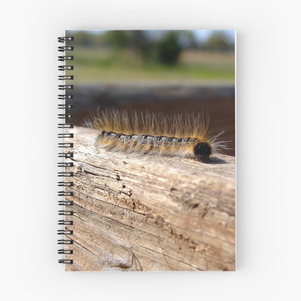 Item preview, Easy Traveler designed and sold by Petmagnet.