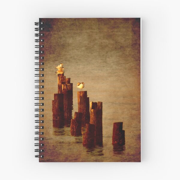 Item preview, Perpetual designed and sold by Jonicool.