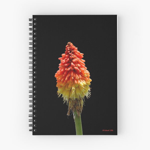 Item preview, Red Hot Poler designed and sold by © CK Caldwell IPA.