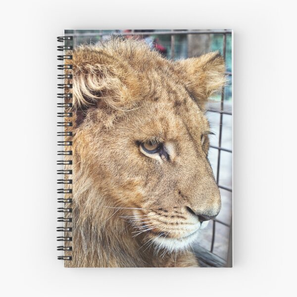 Item preview, Aslan designed and sold by Mary Broome.