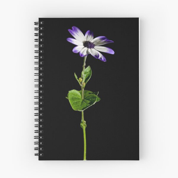 Item preview, Flower of the Dark designed and sold by Matt Thorne.