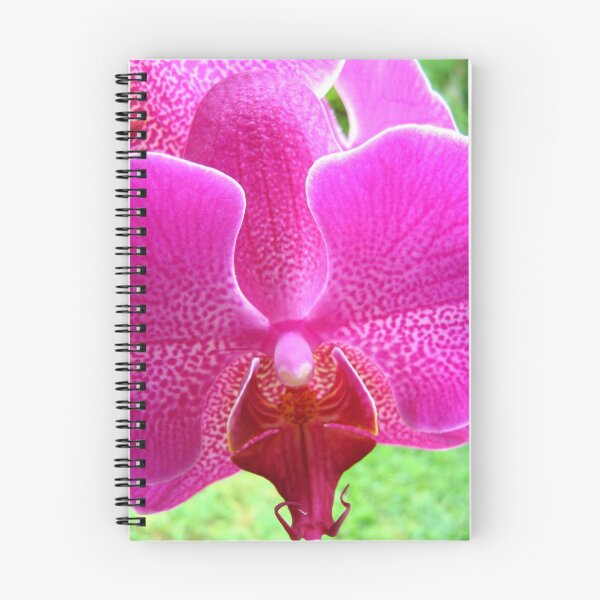 Item preview, full bloom designed and sold by Nicola Schultz.