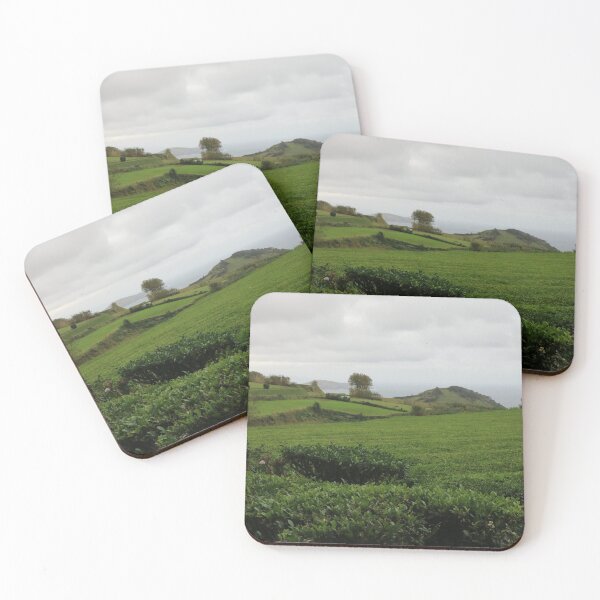 Item preview, Nature, Landscape, Tea Plantation, Europe, Portugal, Azores, Photography, BebiCervin designed and sold by BebiCervin.