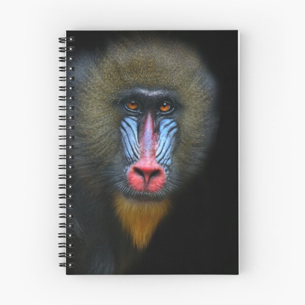 Artikelvorschau, Mandrill entworfen und verkauft von Natalie Manuel.