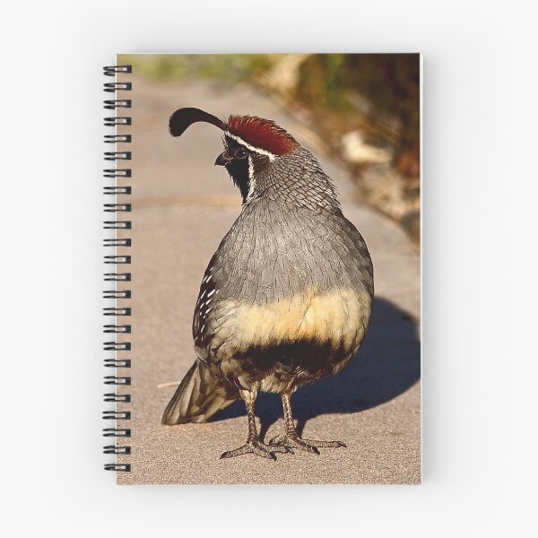 Item preview, Gambel's Quail designed and sold by Marvin Collins.