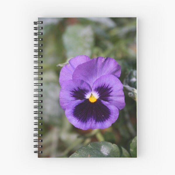 Item preview, Purple Pansy designed and sold by Mark D Battersby.