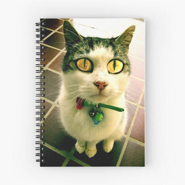 Item preview, Copy cat designed and sold by Route64.