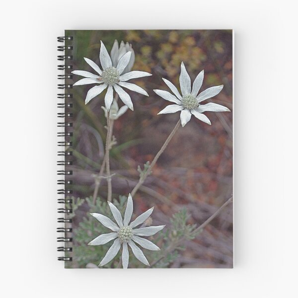 Item preview, Flannel Flowers at Thirlmere designed and sold by George Petrovsky.