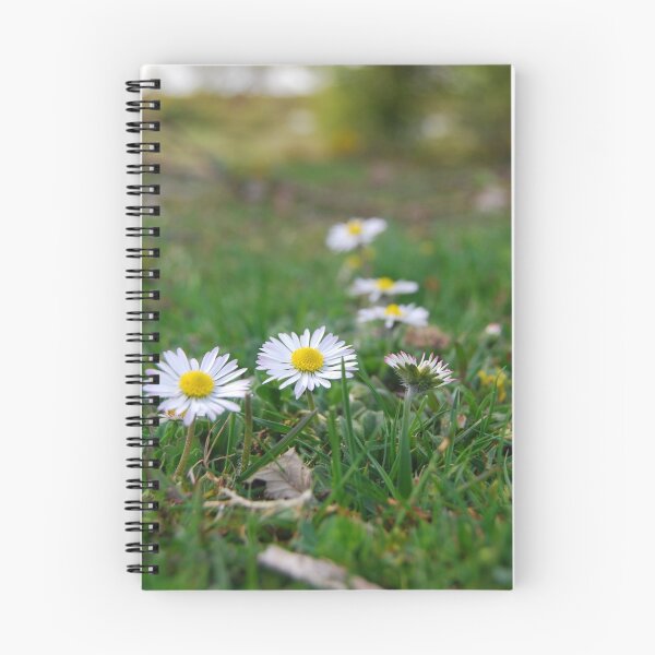 Item preview, Daisy Chain designed and sold by Richard Utin.