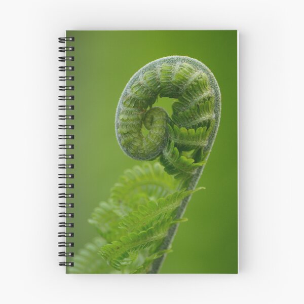 Item preview, New Life ....... designed and sold by godders.