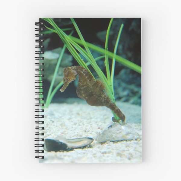 Item preview, SeaHorse designed and sold by Kevin D. Raney.