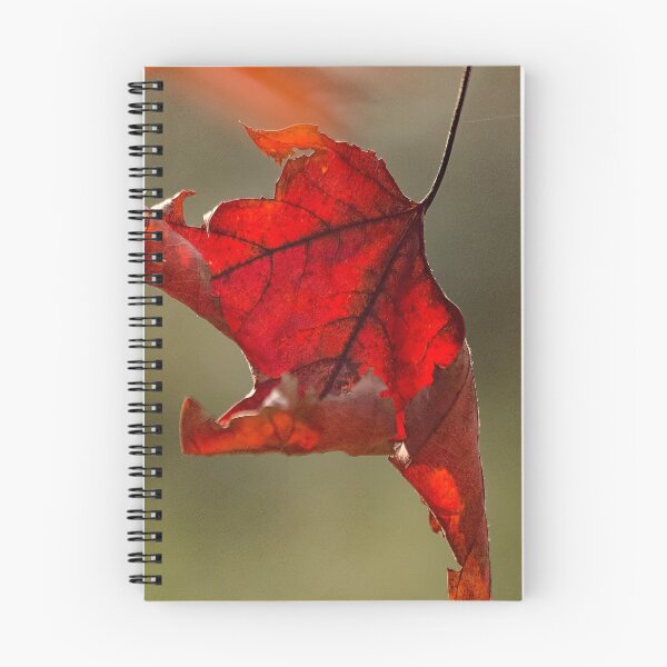 Item preview, On Fire designed and sold by Eileen McVey.