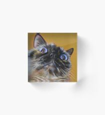 Bloque acrílico El Gato Selfie de Interrogación