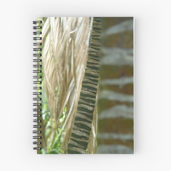Aperçu de l'œuvre bamboo sticks - lord howe island collection créée et vendue par Maike.