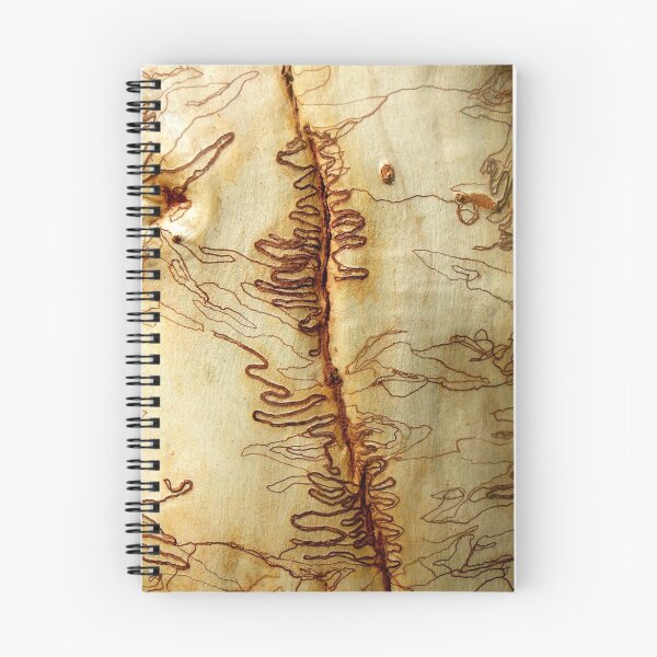 Artikelvorschau, Australische Scribble Bark entworfen und verkauft von Maike.