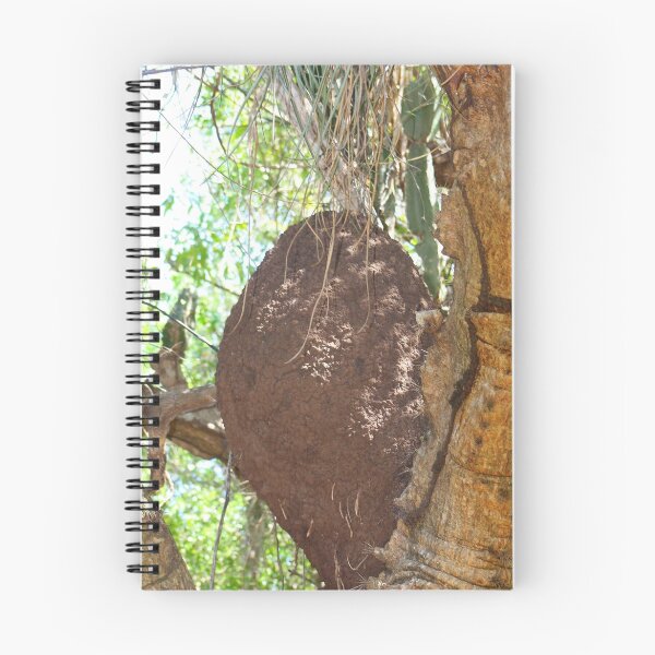 Item preview, Termite mound designed and sold by jdmphotography.