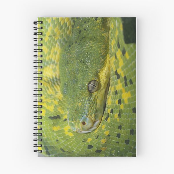 Item preview, Stunning designed and sold by Steve Bullock.