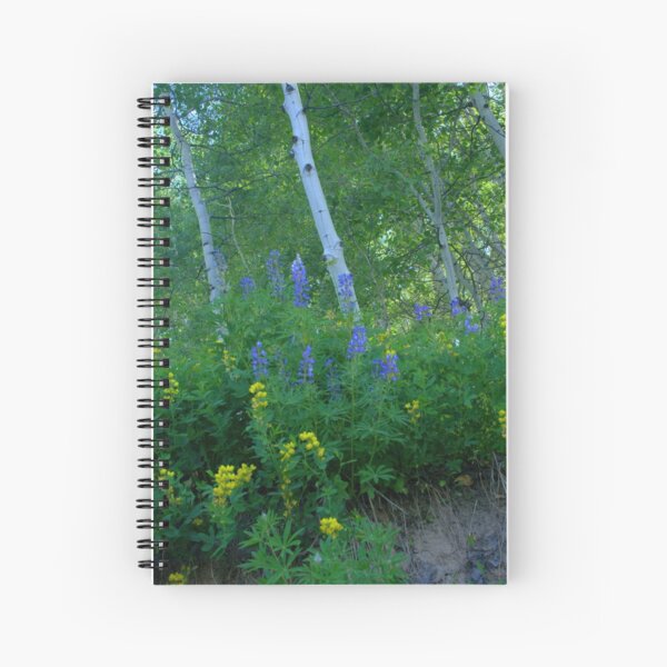Aspen Forest Along Kebler Pass Spiral Notebook