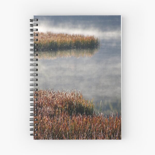 Item preview, Transition designed and sold by David Haviland.