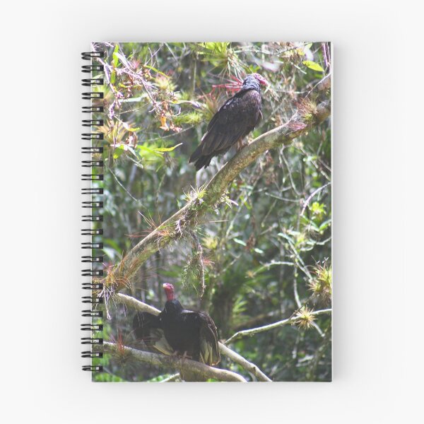 Item preview, Turkey Vultures (Cuba) designed and sold by jdmphotography.