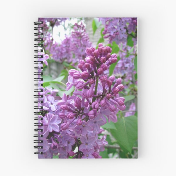 Item preview, Lilacs II designed and sold by Nancy Polanski.