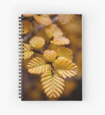 Fagus Spiral Notebook