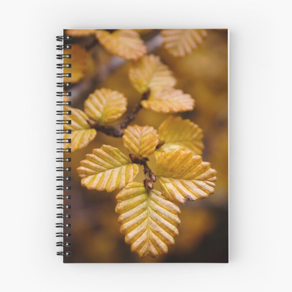 Item preview, Fagus designed and sold by Doug Thost.