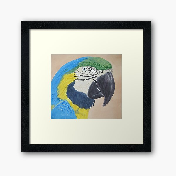 Macaw Framed Art Print