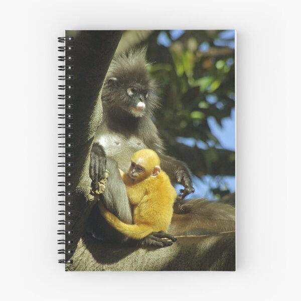 Item preview, Mother and Baby. designed and sold by Aussiebluey.