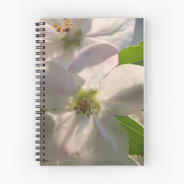 Item preview, Apple Blossom designed and sold by BarbHoffman.