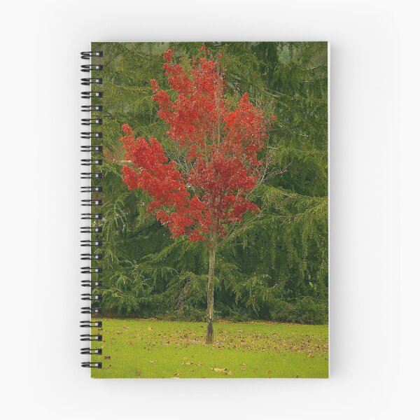 Aperçu de l'œuvre autumn fire 2 créée et vendue par Cheryl Ribeiro.