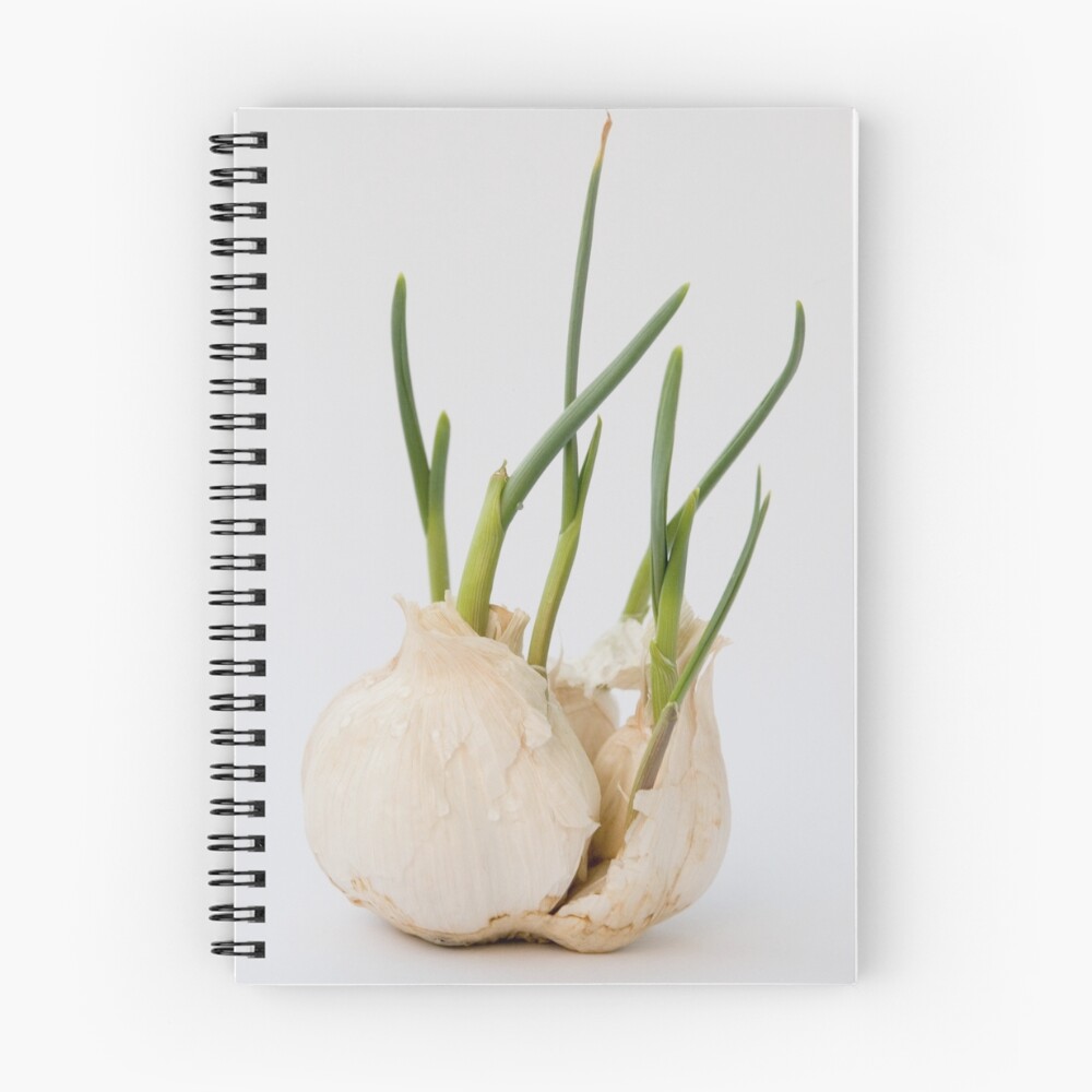 Vista previa del artículo con la obra «Cuaderno de espiral», diseñado y vendido por VioDeSign.