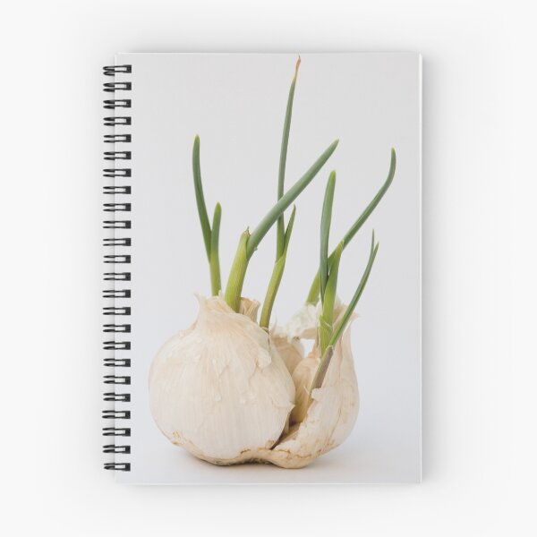 Item preview, Spring designed and sold by VioDeSign.