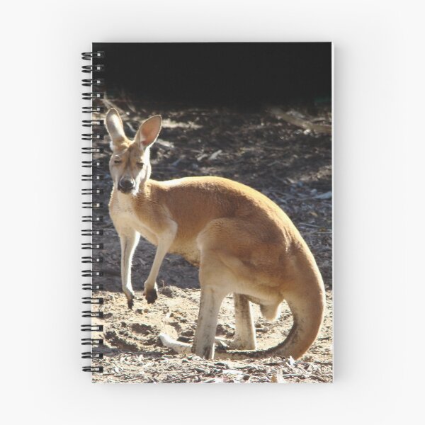 Item preview, Red Kangaroo designed and sold by Rainbow Farm Photography.