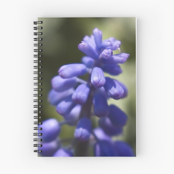 Item preview, Delicate blue designed and sold by Steve plowman.
