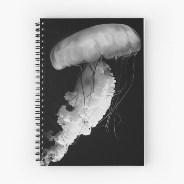 Item preview, B&W Jelly designed and sold by Kevin D. Raney.