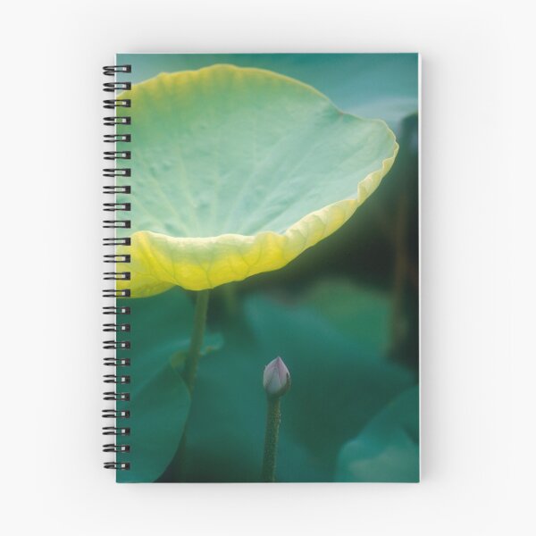 Item preview, Lotus #27 designed and sold by Janos Sison.
