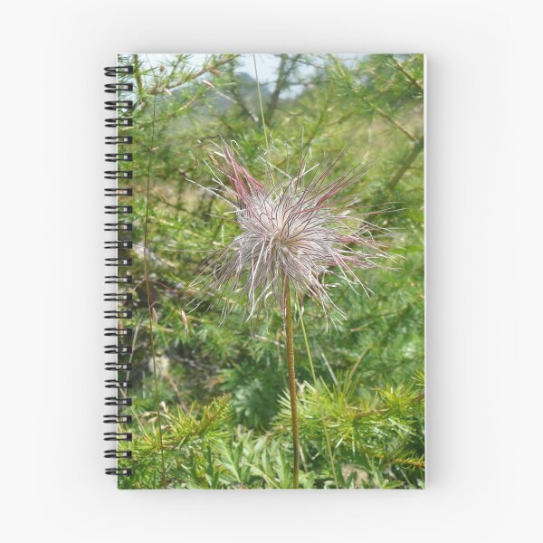 Item preview, Flower of the Alpes designed and sold by Maike.
